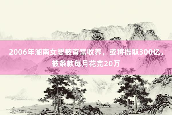 2006年湖南女婴被首富收养，或将摄取300亿，被条款每月花完20万