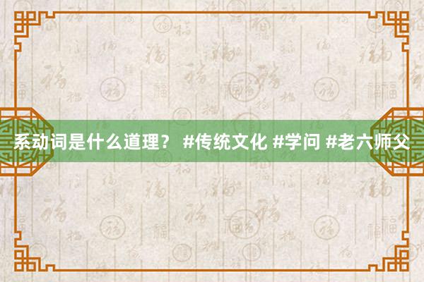 系动词是什么道理？ #传统文化 #学问 #老六师父