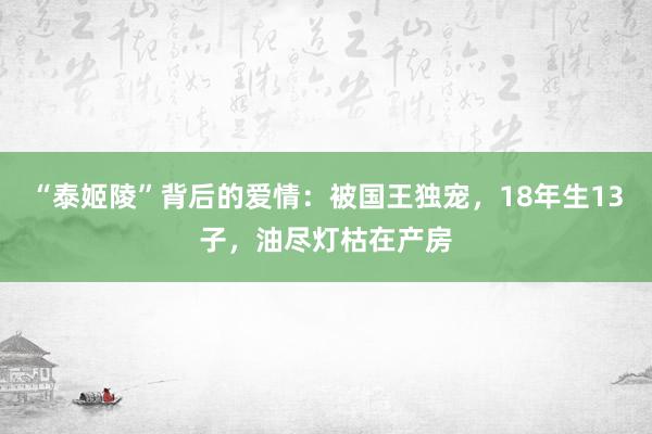 “泰姬陵”背后的爱情：被国王独宠，18年生13子，油尽灯枯在产房